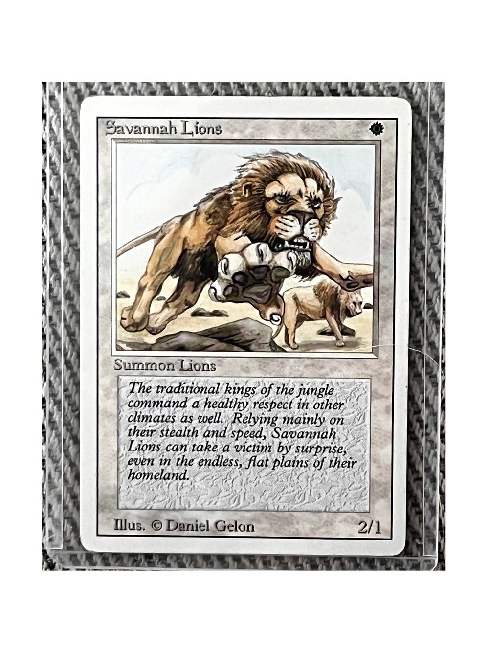 Savannah Lions – 1994 Revised Edition – Magic: The Gathering